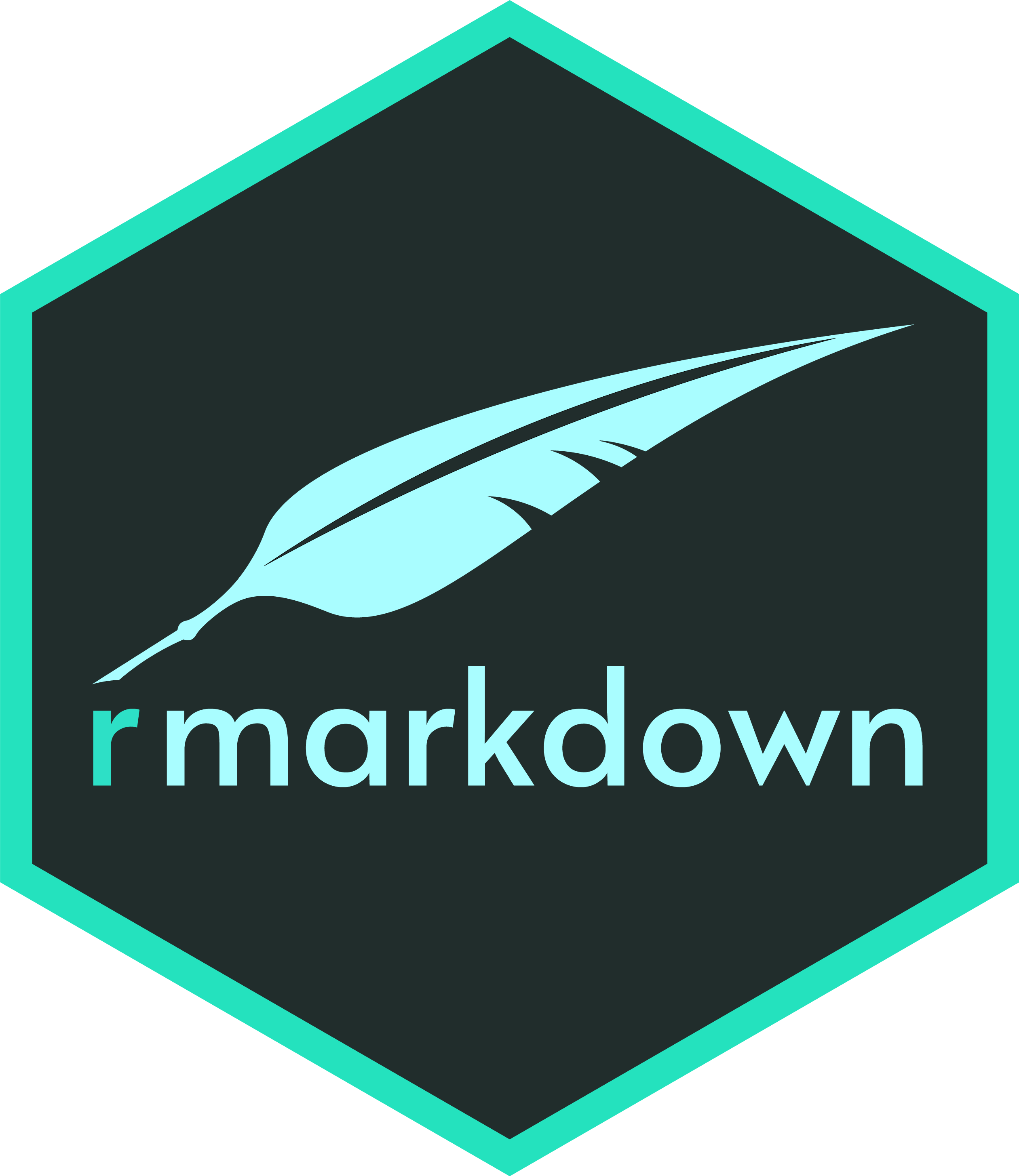 R Markdown